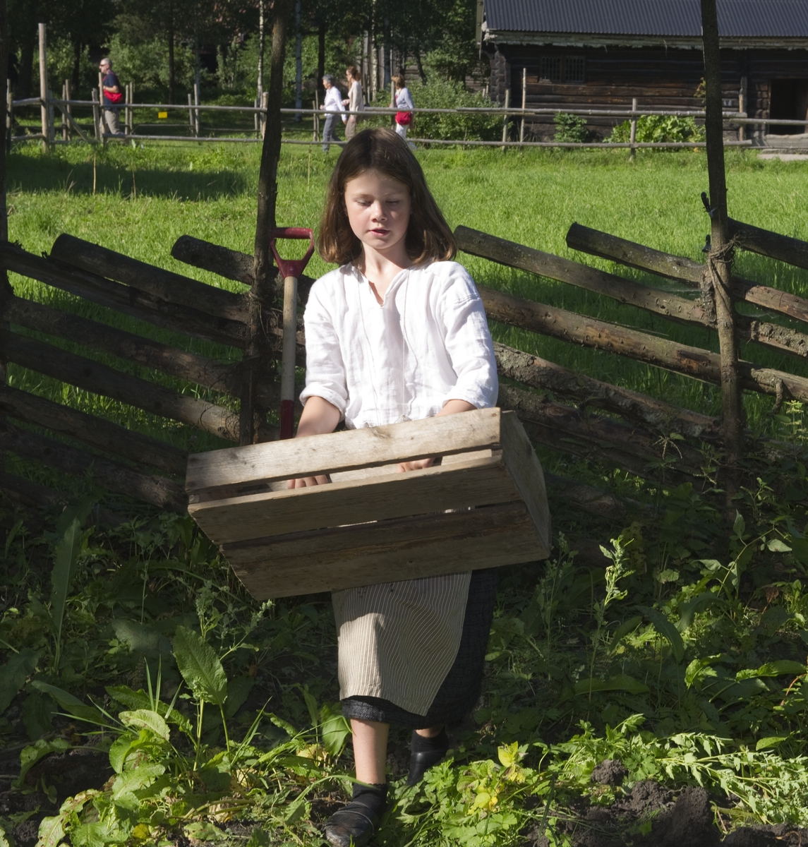 På historisk ferieskole får barn kjennskap til tradisjoner og historie gjennom opplevelser, lek og læring.

Jente med kasse for innhøsting fra potetåkeren.