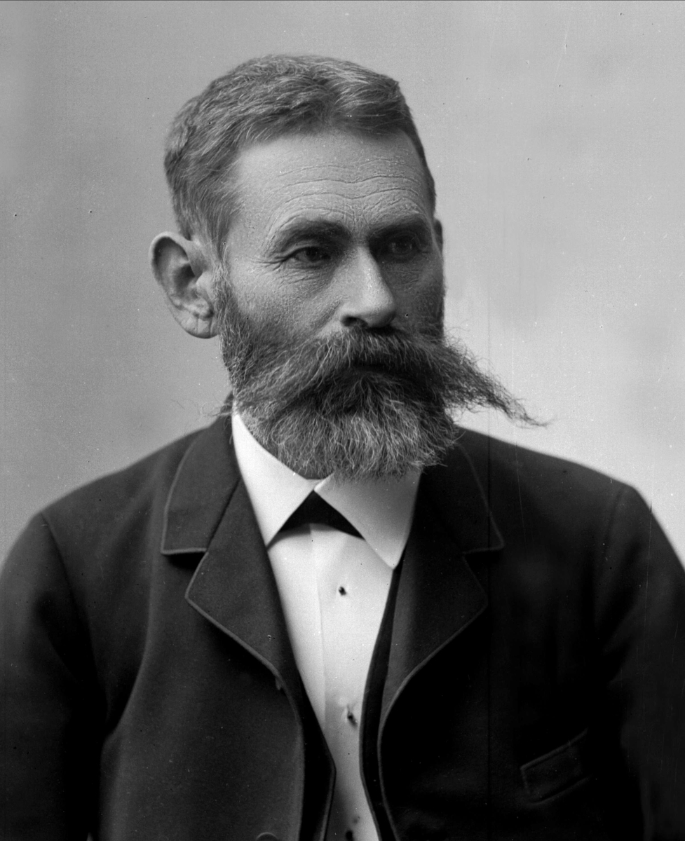 Portrett, Jonas Smitt, født 20. mai 1836, fødested Nordre Land, Oppland, død 28. mars 1905, dødssted Kristiania. Landbruksdirektør.