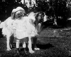 Avfotografering.Lite pikebarn og en St. Bernhardshund.