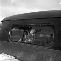 Ukjent sted, 1953. Leketøysape i bakvindu på bil