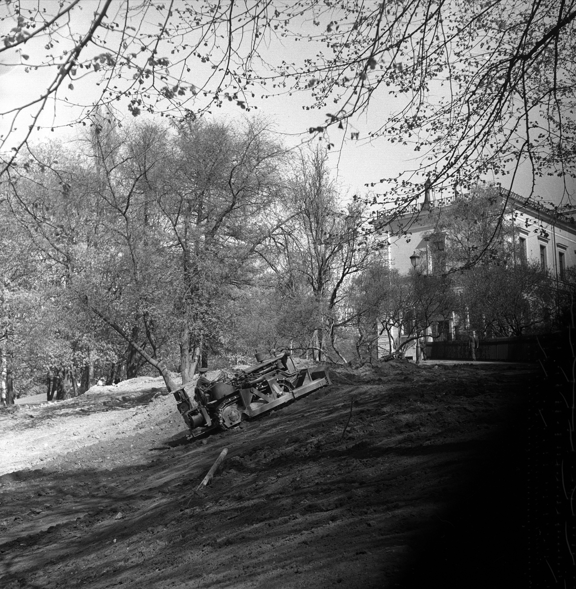 Slottsparken, Oslo, oktober 1959. Anlleggsarbeide med bulldoser.