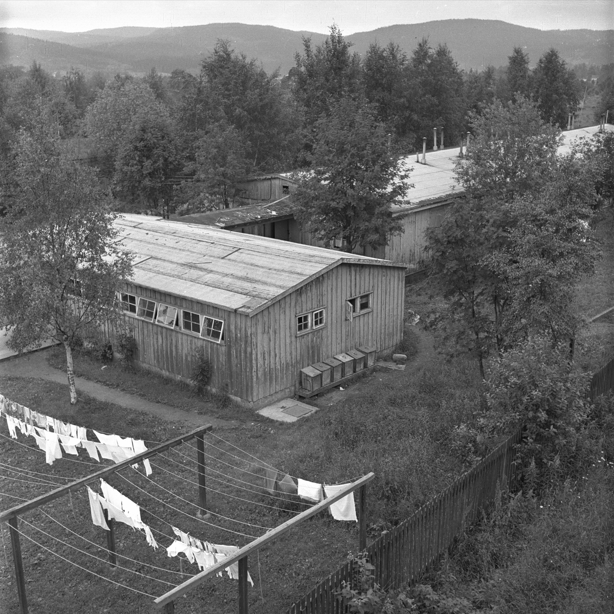 Dette er tyskerbrakkene på Himstadjordet. Bygget av tyskerene under siste verdenskrig. Østre Voksen, Sørkedalsveien, Oslo, 13.07.1954. Brakkeby. Klestørk i hagen.