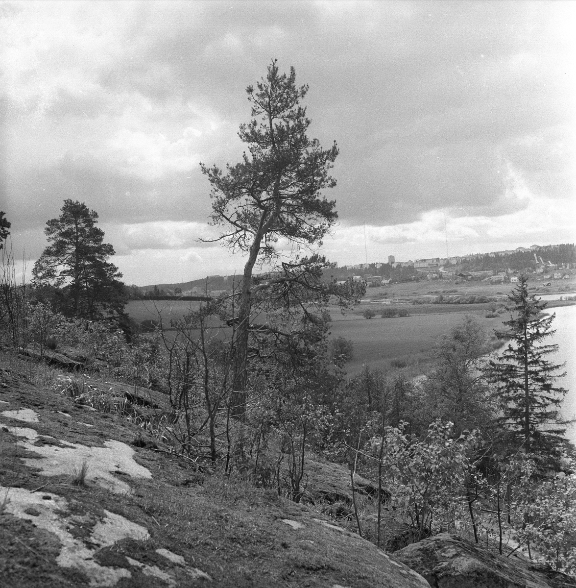 Østensjøvannet, Oslo, 06.06.1957. Landskap. - Stiftelsen Norsk ...