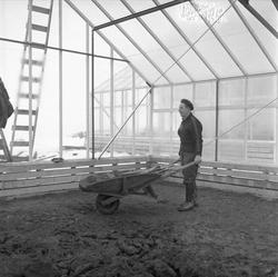 Ekeberg, Oslo, mars1959, landbruksutstilling, under monterin