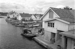 Lille Svalsund, Lyngør, september 1962, bebyggelse i sjøkant