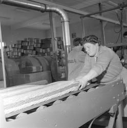 Spikkestad, april 1960, Elopak, ny fabrikk for produksjon av