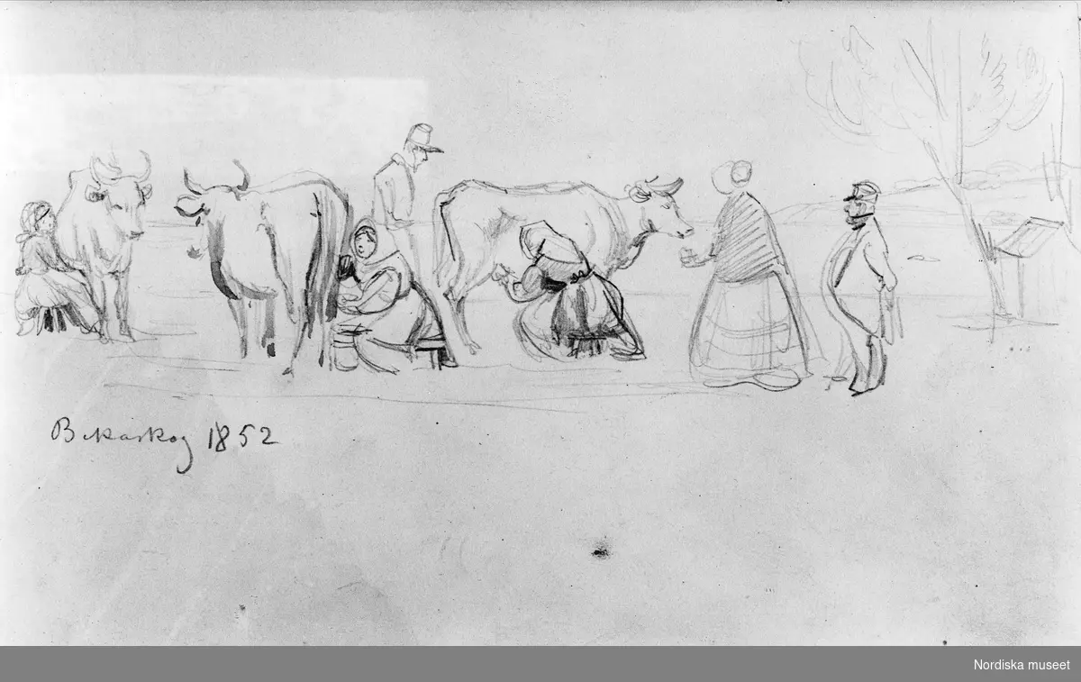 Män, mjölkerskor och kor. Bäckaskog. Teckning av Fritz von Dardel, 1852.