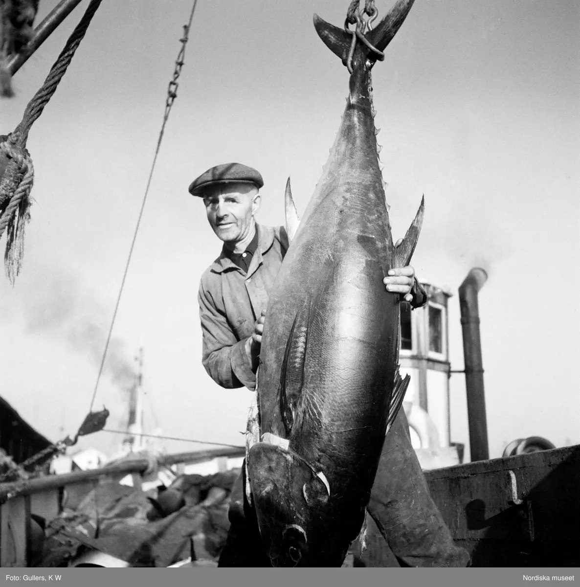 Fiskare bredvid stor fisk upphängd från stjärten.