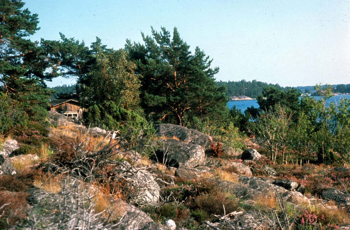 Gastholmen i Kanholmsfjärden, Djurö socken, Uppland augusti 1976