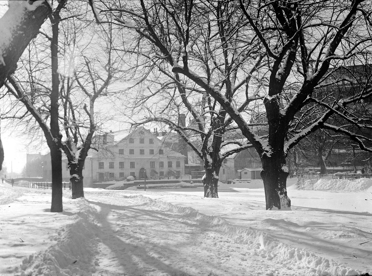 Akademikvarnen från Östra Ågatan, Uppsala