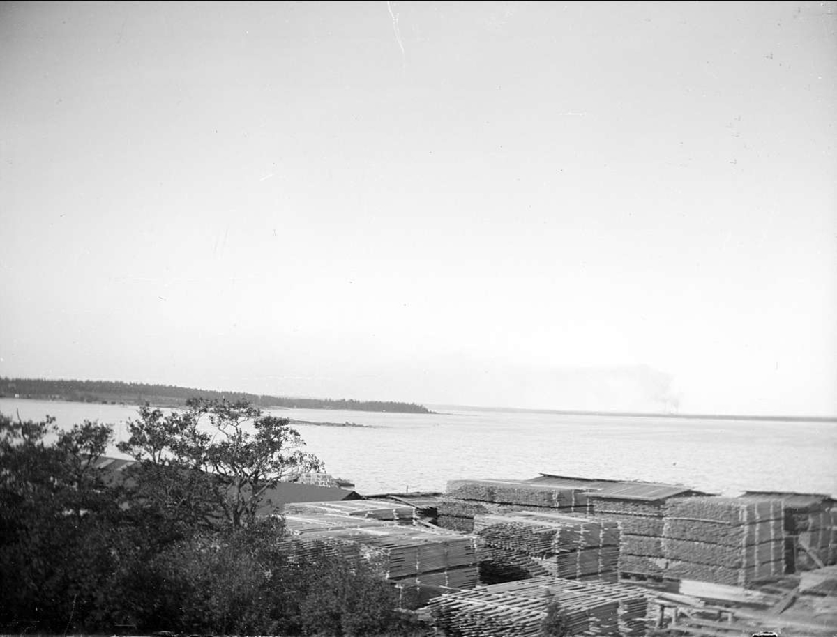 Havskust vid Skutskär, Älvkarleby socken, Uppland september 1916