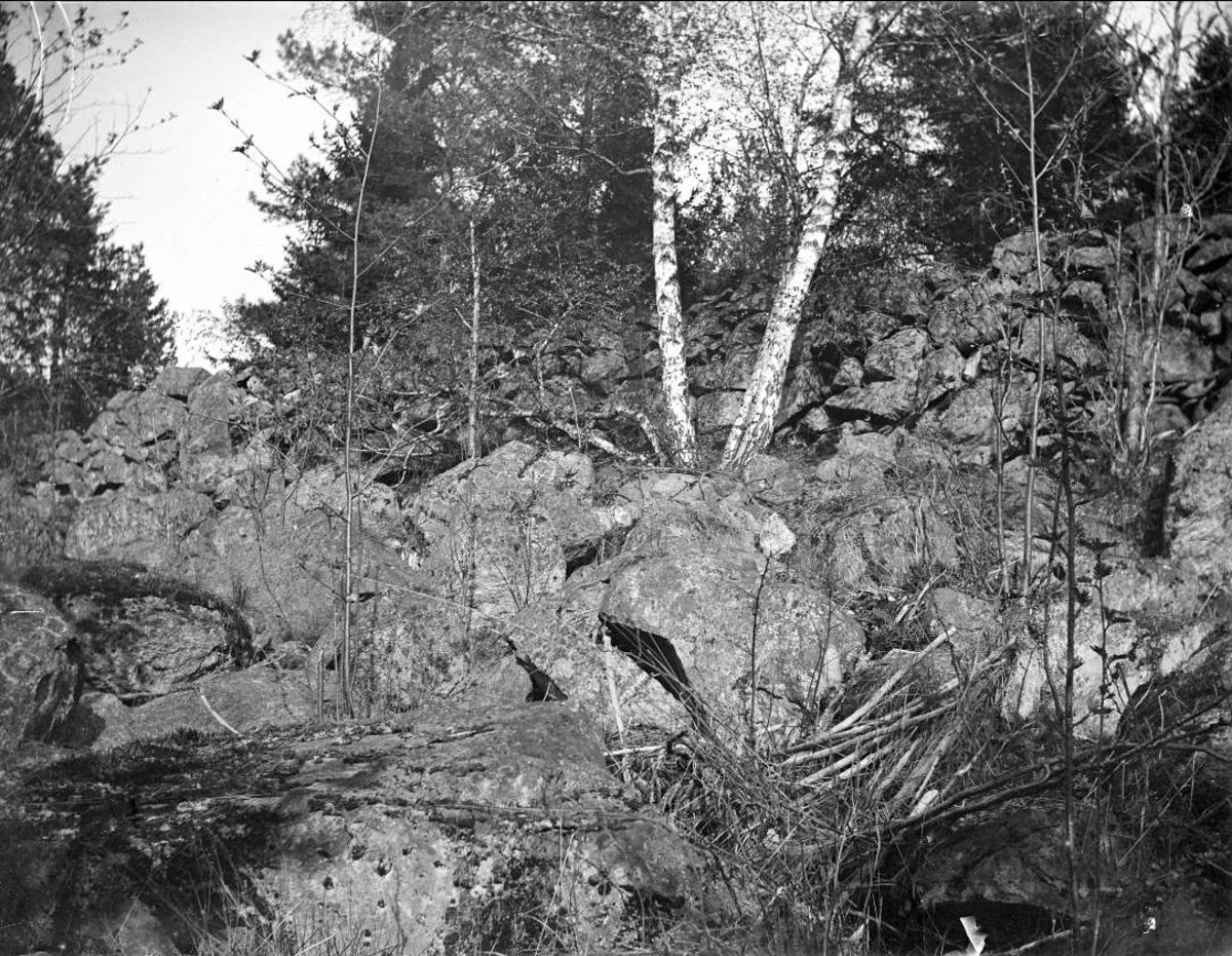 Stenröse, troligen fornborg, Edsbro socken, Uppland maj 1913