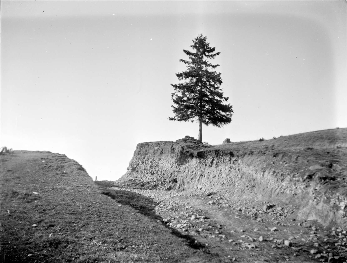 Gruås nära Storvreta, Ärentuna socken, Uppland 1931