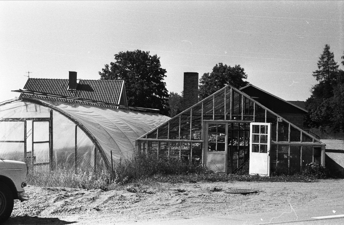 Växthus, Sandbrovägen, Björklinge, Björklinge socken, Uppland 1976