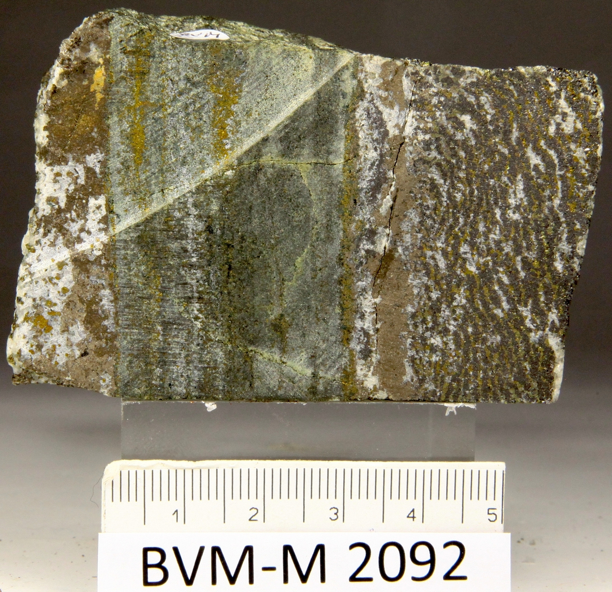 Skåret stykke av magnetitt/kismalm.
Viscaria gruve.
Stuffstørrelse: 7X4,8X2,5