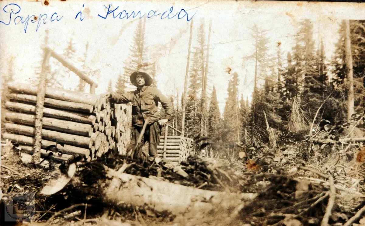 Johan Helle på tømmerhogst i Canada.