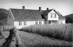 Sviland - Ivar Ivarsen: våningshus, i fordergrunnen kornåker