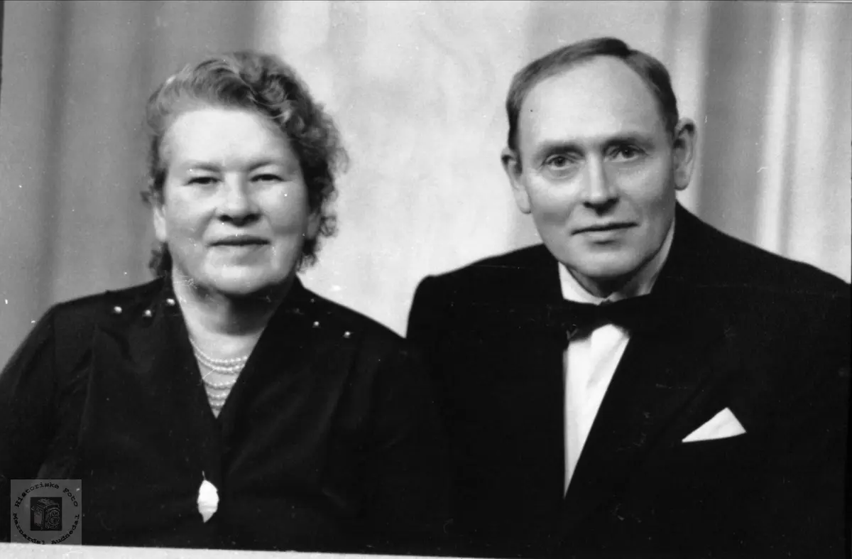 Portrett. Ekteparet Sigrid og Olav Fidjestøl.