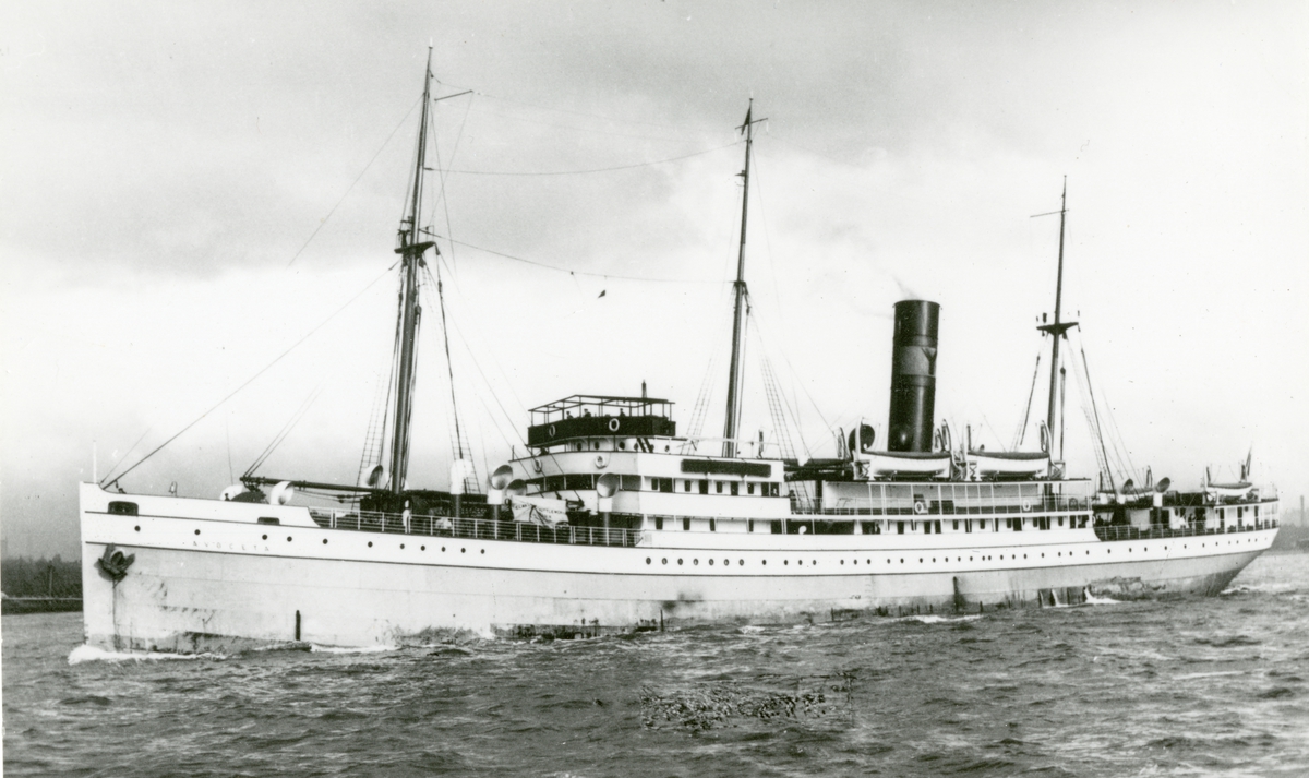 D/S Avoceta (b.1923, Caledon Shipbuilding & Engineering Co.Ltd., Dundee)
