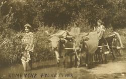 Rumenske folketyper.