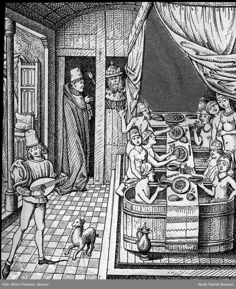 Hygienens historie, Valerius Maximus' Haandskrift: Stadsbibliotek (Schultz: Deutsche Leben: 14. u. 15 J.)