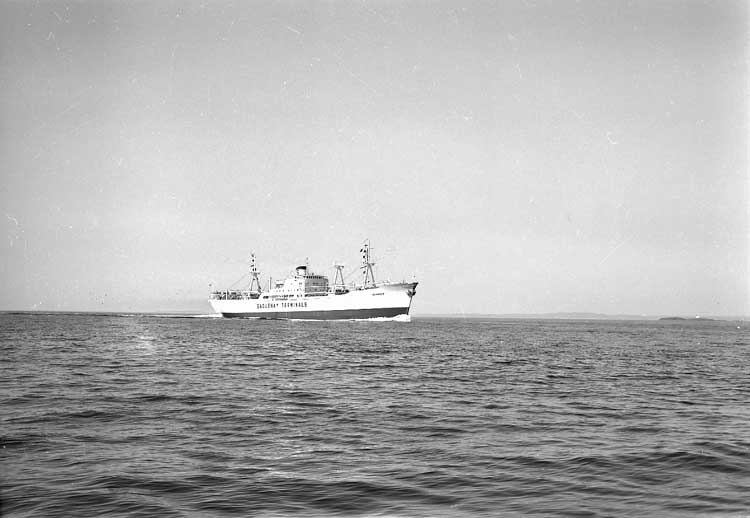 M/S Sungran DWT. 12.620
Rederi Skips A/S Selje, Bergen
Kölsträckning 54-12-14 Nr. 144
Leverans 55-07-21
Lastfartyg