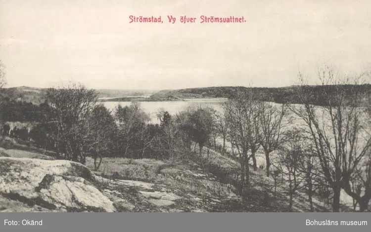 Tryckt text på kortet: "Vy öfver Strömsvattnet. Strömstad."