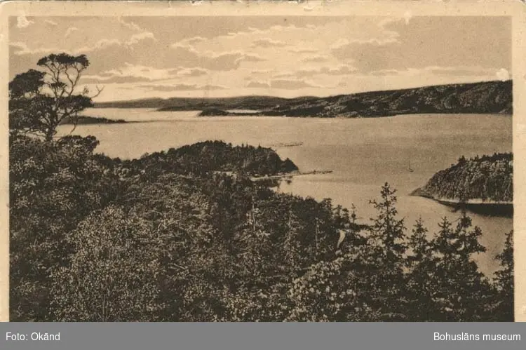 Tryckt text på vykortets framsida: "Uddevalla Parti från Byfjorden."
