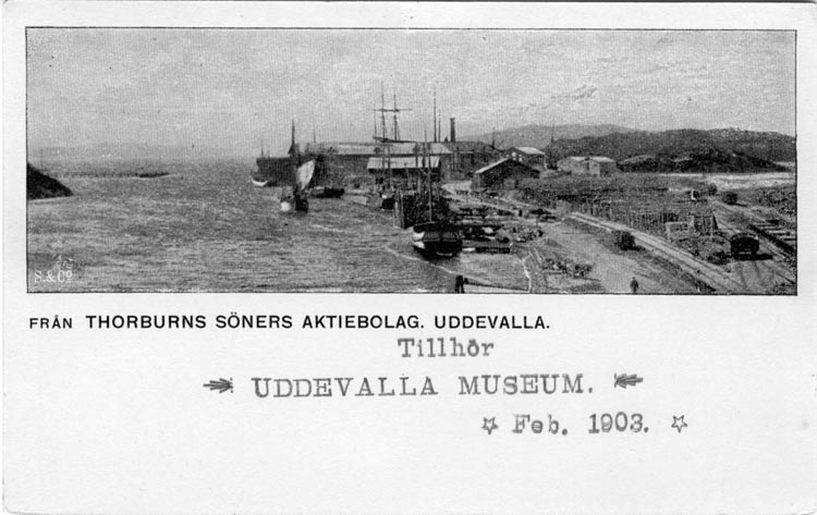 Tryckt text på vykortets framsida: "Från Thorburns söners aktiebolag, Uddevalla."