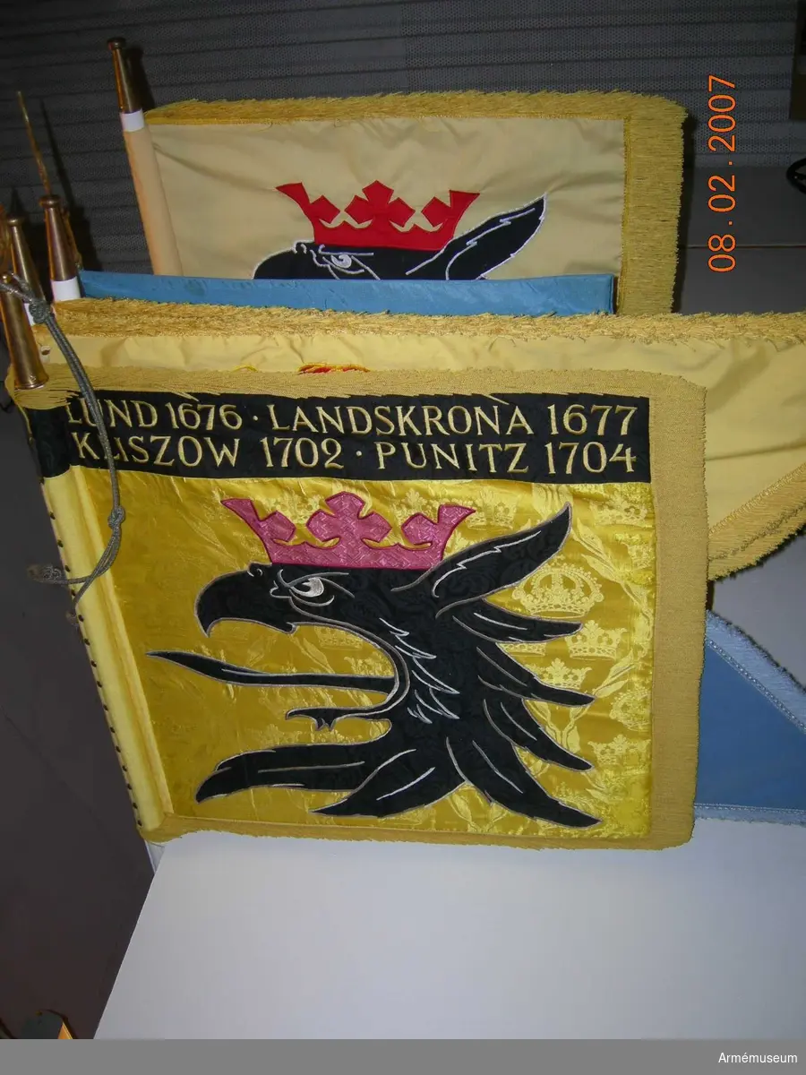 Standar för Skånska dragonregementet. Standaret är tillverkat av sidendamast m/1899 vävt på Almgrens sidenväveri. Motivet på standaret är ett griphuvud i svart med gula konturer och en öppen krona i rött på gripens huvud.