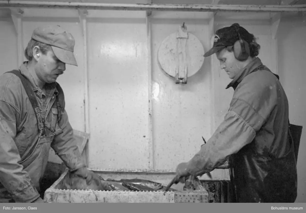 Havskräftfiske 1994.