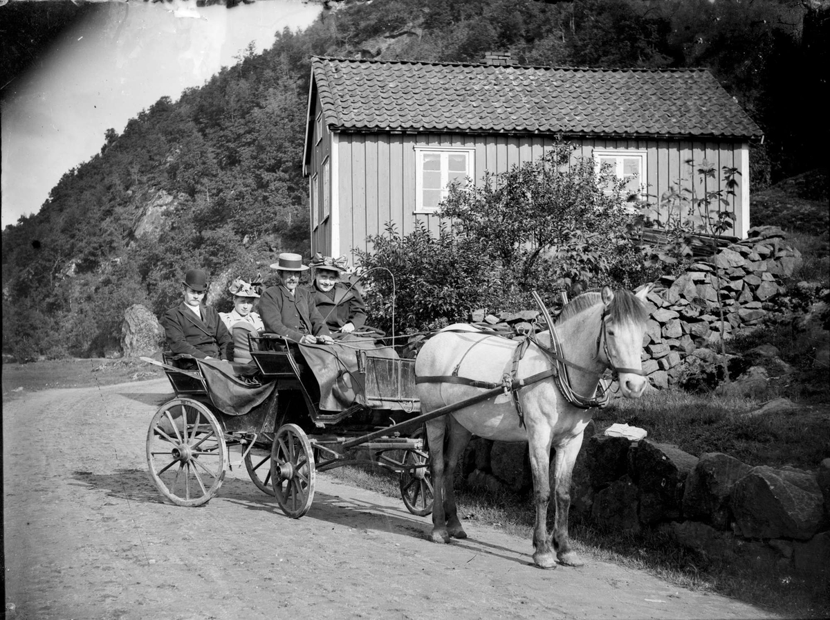 Hest og vogn i Sokndal