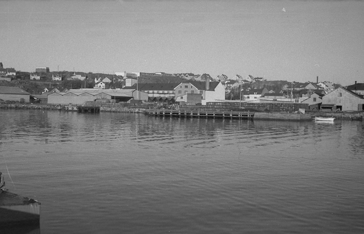 Södra hamnen, Lysekil 1964.