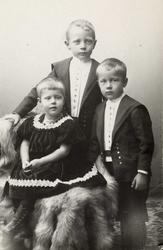 Ragnar, Johan Monrad og Rønnaug Vik.