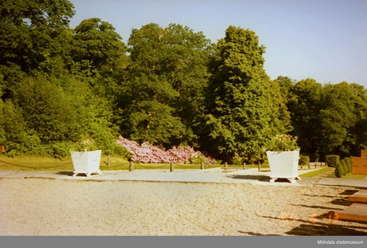 Två stora vita blomsterurnor står placerade på norra sidan av parken.