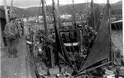 Fra Melbu havn i 1923. Fiskebåter ( Ålesundsbåter) ved Frede
