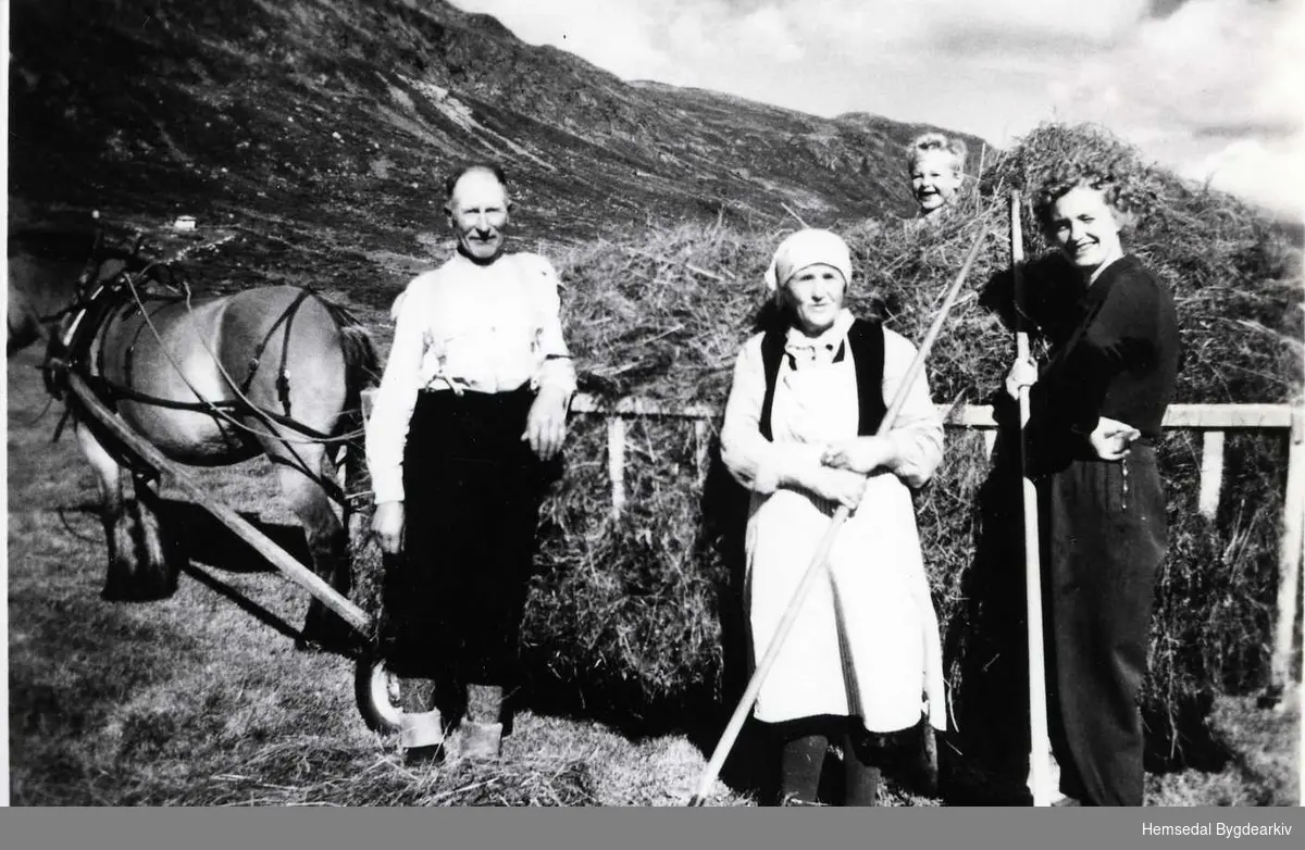 Høying i Bulien ca. 1960. 73/2 
Frå venstre: Ola, Anne og Ingebjørg Anderdal. Arild Anderdal på lasset.