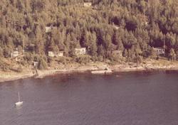 våningshus, uthus, trær, haver, vann, hytter,