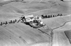 Gården Ringsby i Rakkestad, flyfoto 4. august  1951.