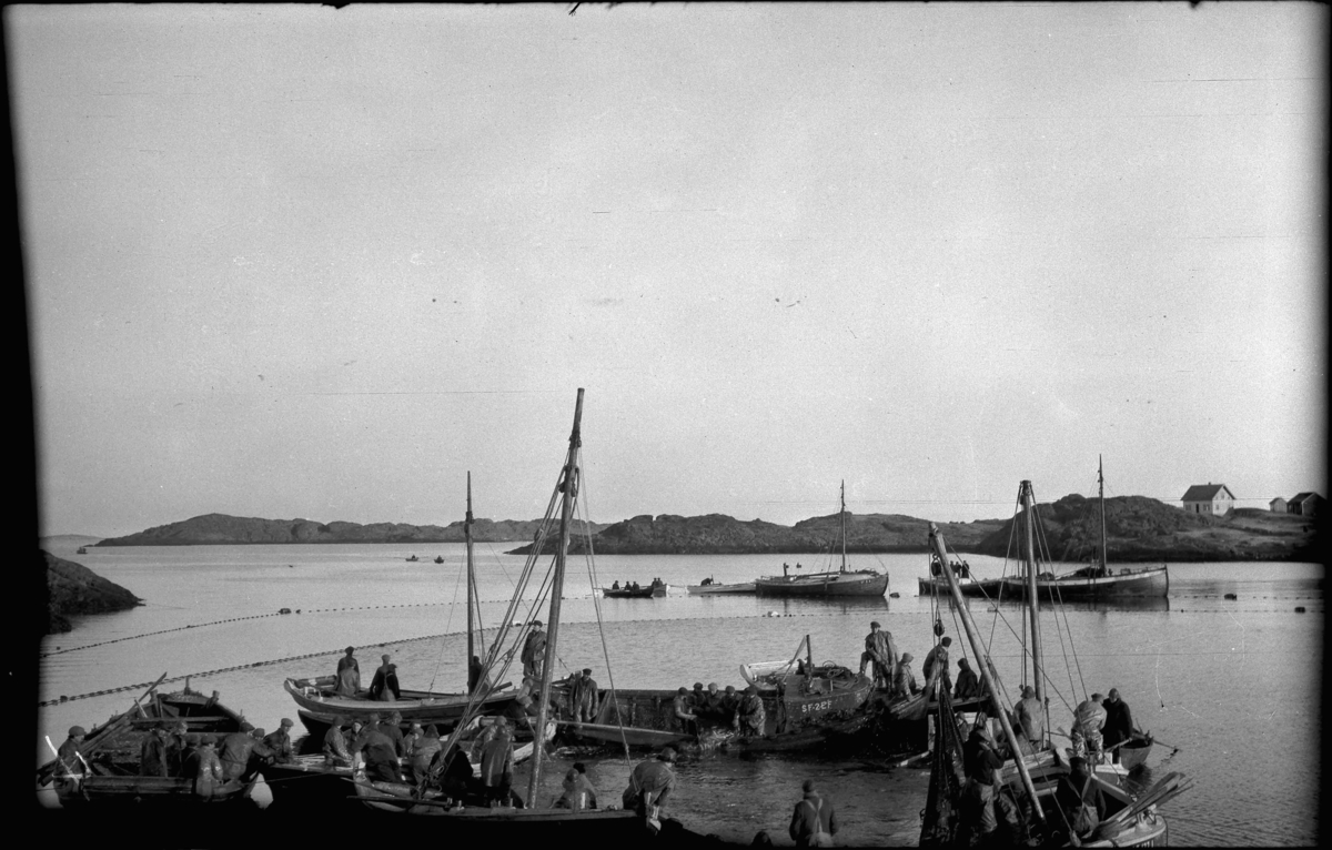 Sildesteng på "Stroka", mellom Kalvøy (høgre) og Landøy (venstre). Båten bak til høgre er ein listerbåt. Kan vere Melverbåten som vart seld til Sandøy