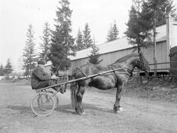 Hingsteutstilling på Smestadmoen. "Solungen". Bygninger. Man