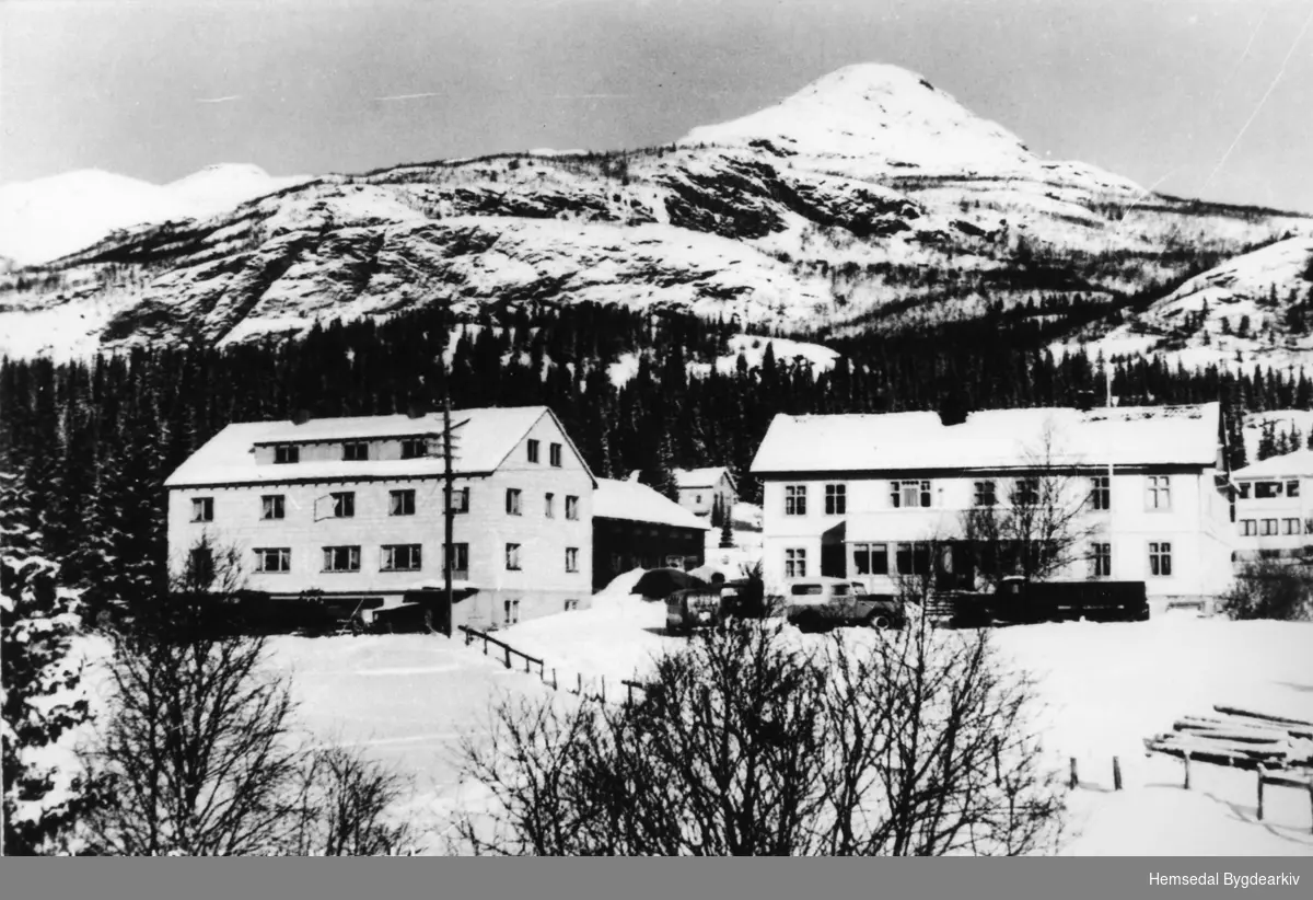 Skogstad Hotell i Trøym i Hemsedal