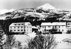Skogstad Hotell i Trøym i Hemsedal