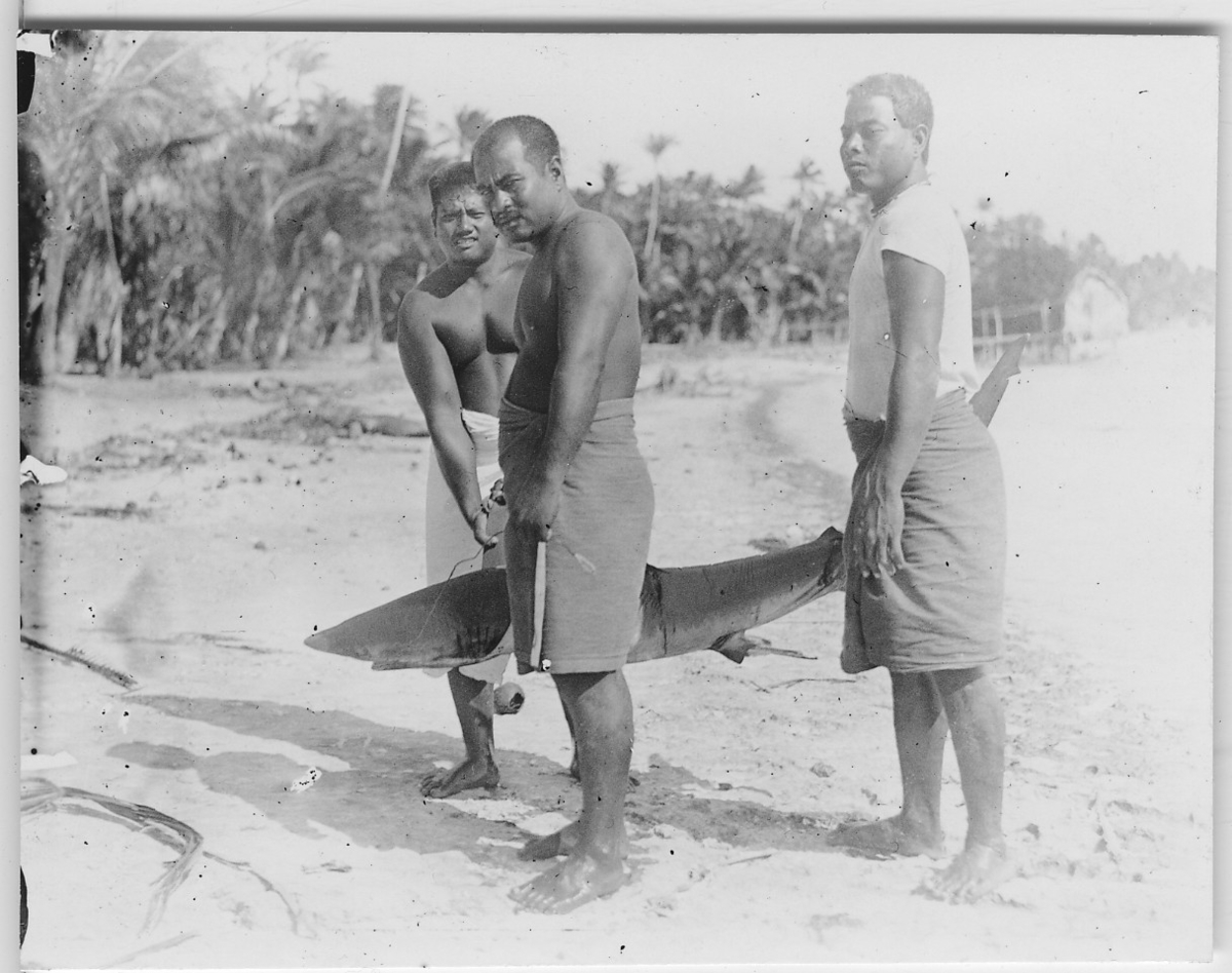 '3 män på stranden bär upp en haj från vattnet. Kläder. Klädsel. ::  :: Ingår i serie med fotonr. 4352:1-7. Se även fotonr. fotonr. 4349-4351.'