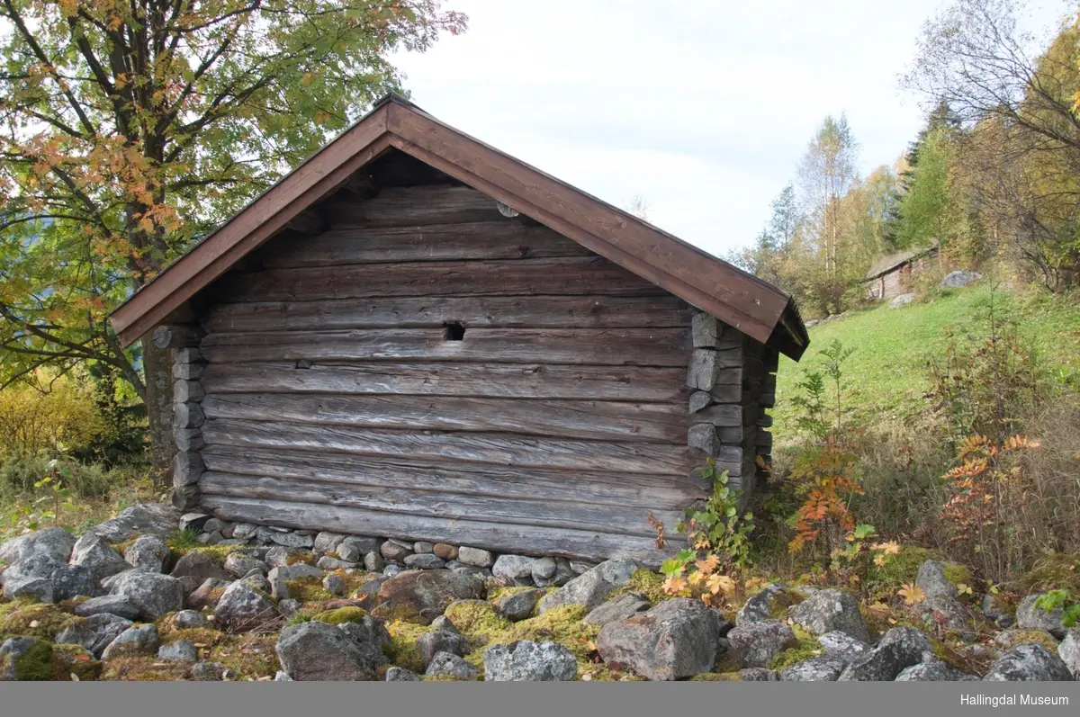 Badstua er fra Trondsgard i Golreppen.  Den skal være bygd mellom 1825 og 1850.  Den er tømret, har jordgolv og torvtak.
I badstua tørket de korn og malt.  På grunn av brannfaren står badstua et stykke unna de andre husene.  Slik er den også satt opp på Skaga.