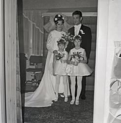 Bryllupsutstyrssalongen. Utleie av brudekjoler etc.