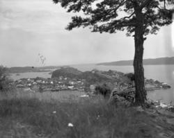 Vardens arkiv. "Parti fra Kragerø (Elsie Larsen i forgrunnen