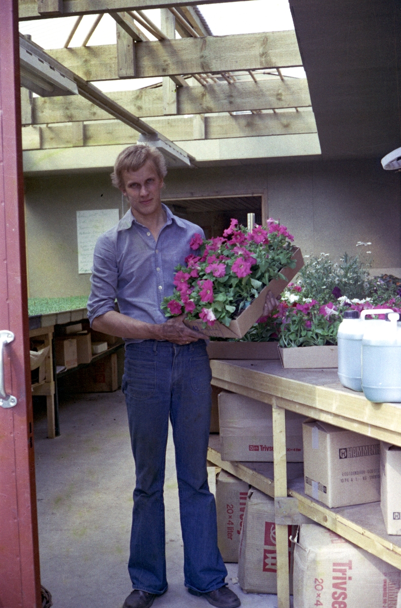 I affären Ericsons blommor, på Vättergatan 9 i Huskvarna, arbetar Anders Jonasson.