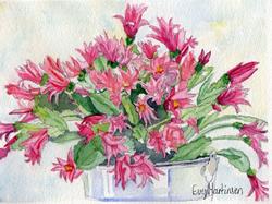 15) Julekaktusen - Sparkeføre