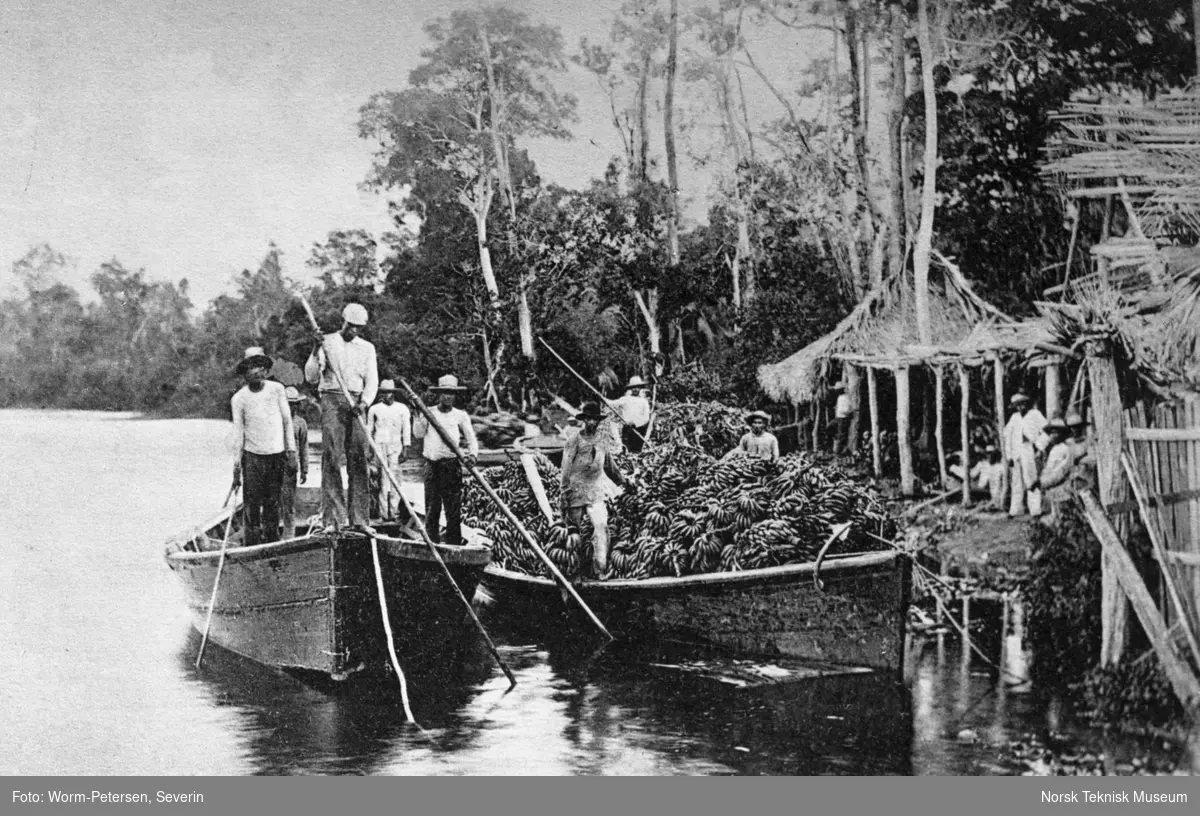 Transport av bananer med båt, Honduras